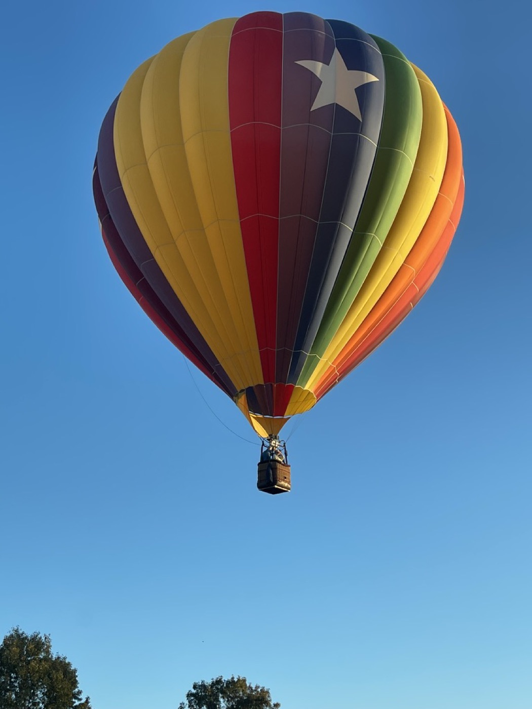A colorful star balloon climbing over the trees